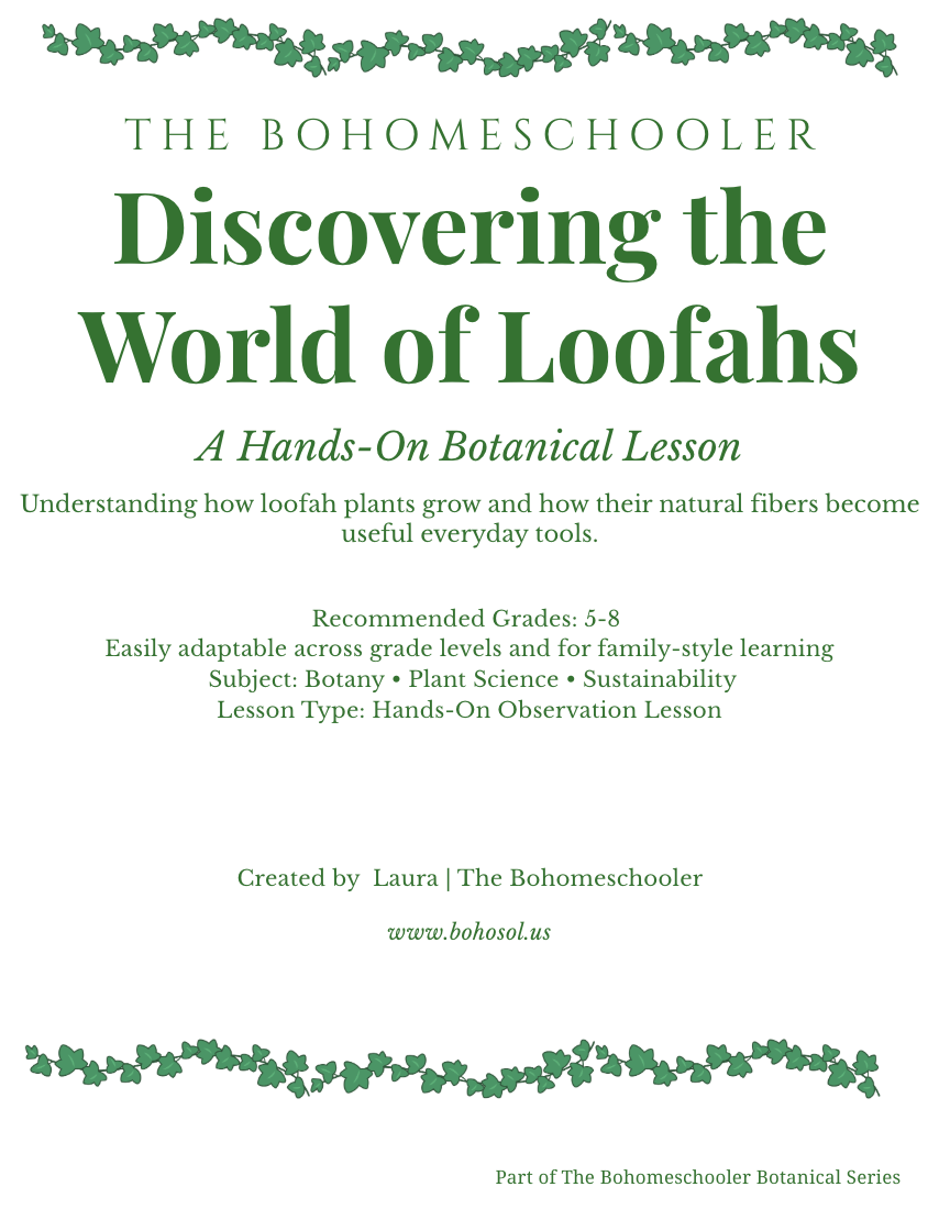 Discovering the World of Loofahs (PDF Download)