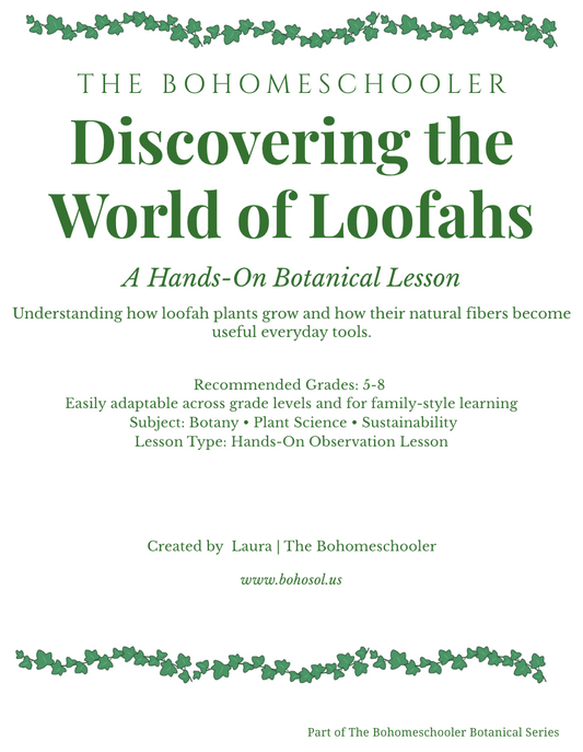 Discovering the World of Loofahs (PDF Download)