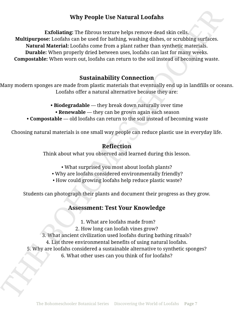 The Bohomeschooler Complete Bundle - All 3 PDFs + Optional Activity Kits