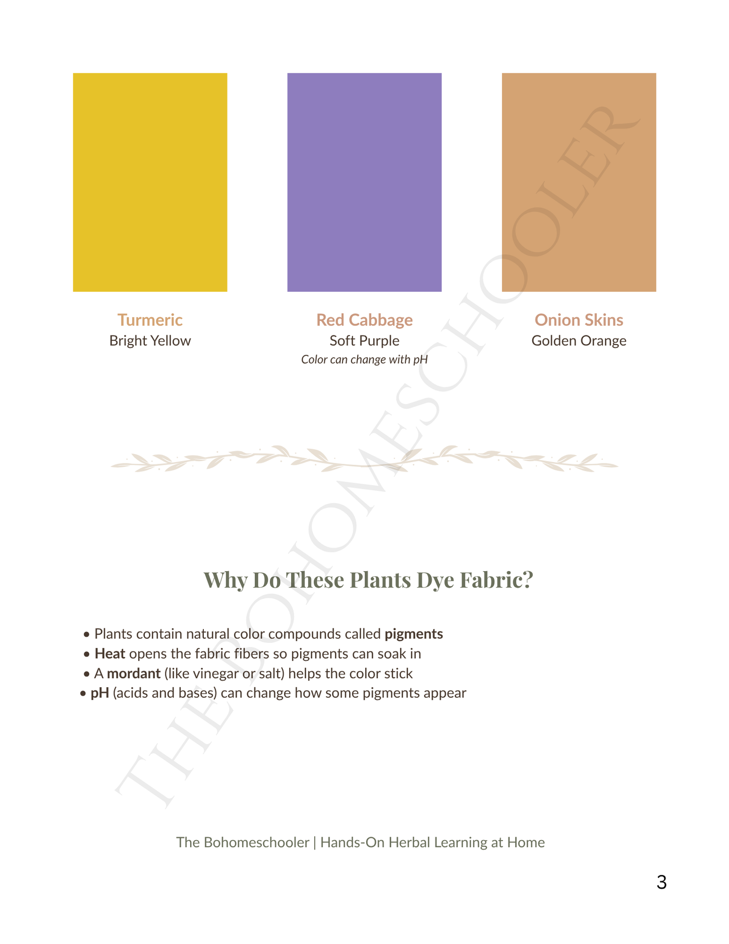 Natural Plant Dye Lesson | Tie Dye Activity: Turmeric, Red Cabbage & Onion Skins