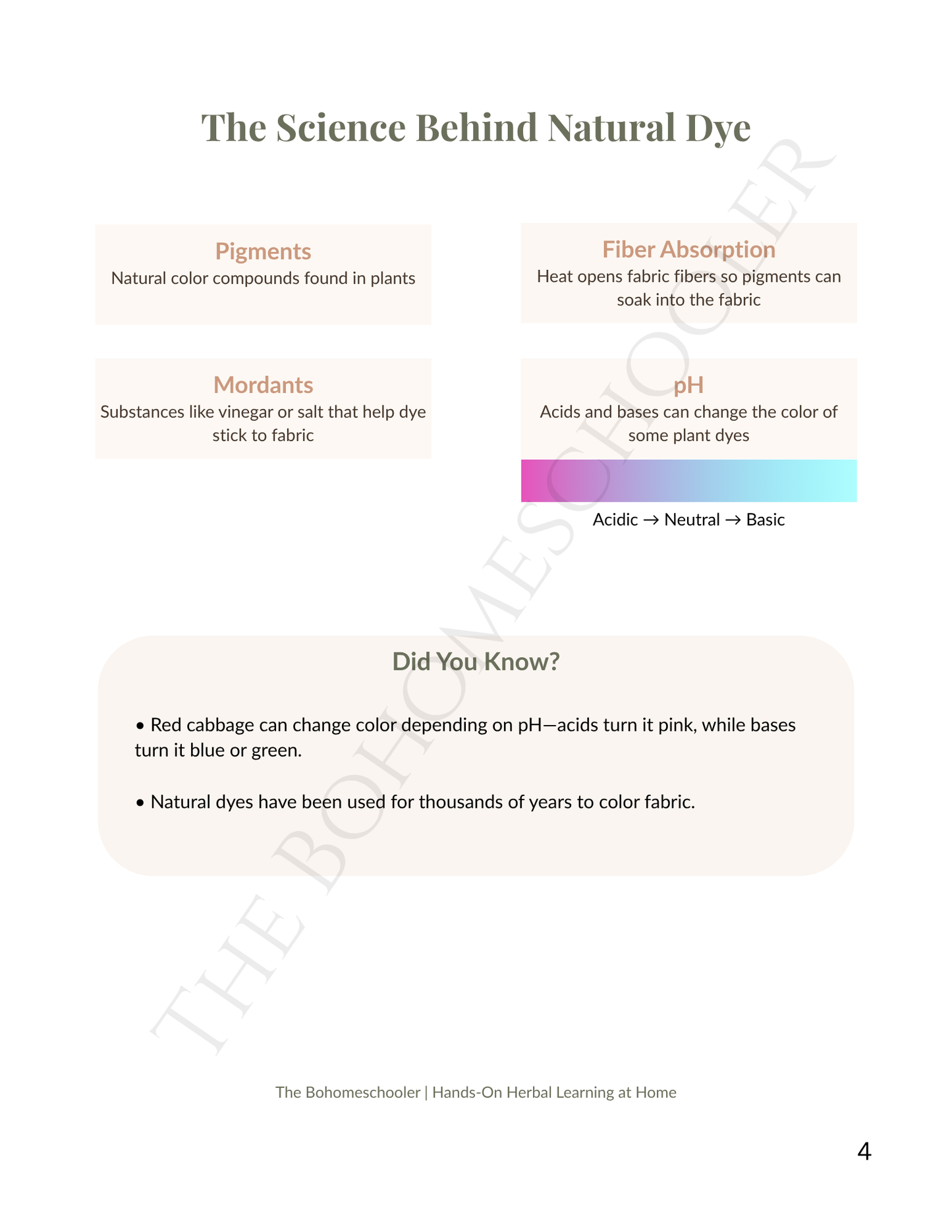 Natural Plant Dye Lesson | Tie Dye Activity: Turmeric, Red Cabbage & Onion Skins
